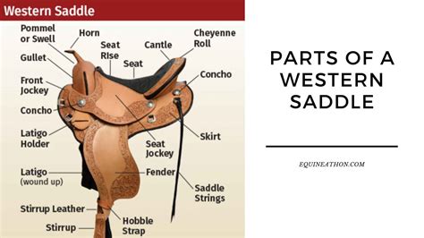 Western Saddle Parts Names at Hilton Miller blog
