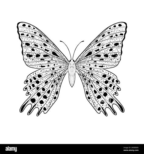 Image result for Hand Drawn Simple Butterfly