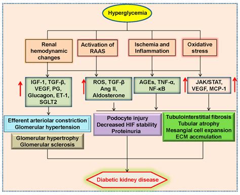 Hydrogen Sulfide: Recent Progression and Perspectives for the Treatment ...