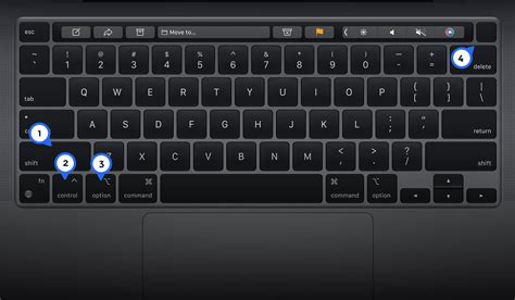 Apple computer keyboard wont type - lasopadis