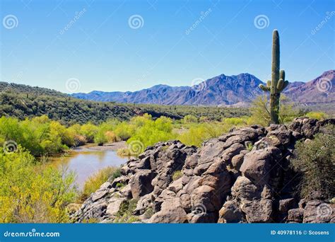 Arizona Desert and Verde River Landscape Stock Photo - Image of verde ...