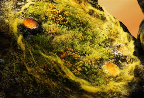 Mac Studio - Apple (IN)