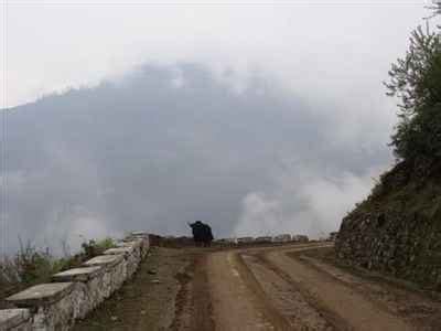 Tezpur.AssamOnline - Tezpur Local Search, News, Classified ads, Travel ...