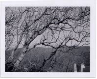 EXPIRED POLAROID PACK FILM photographs gallery .. Polaroid Madness, Ireland