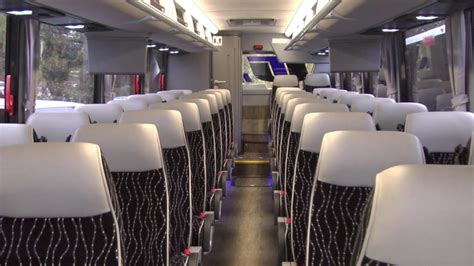 Image result for Tui Local Bus