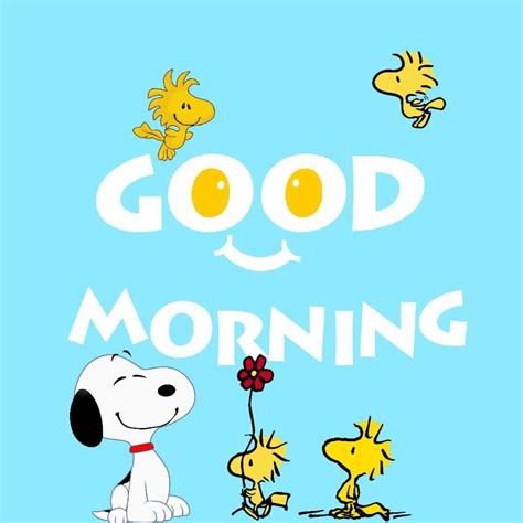 Good Morning Busy 的图像结果