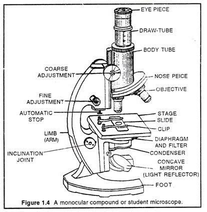 Microscope Parts Drawing at PaintingValley.com | Explore collection of Microscope Parts Drawing
