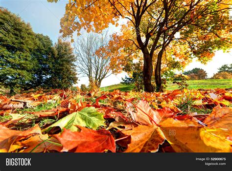 Image result for Beautiful Autumn Fall