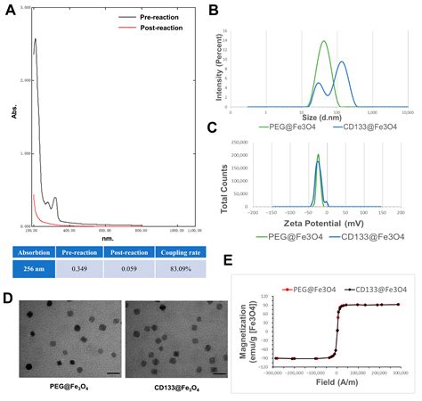 Immunomagnetic Delivery of Adipose-Derived Endothelial Progenitor Cells ...