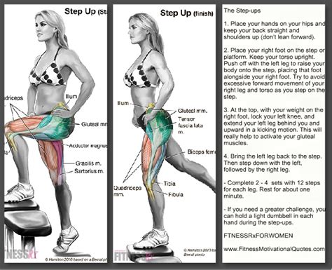 Image result for Step-Up PT Exercise