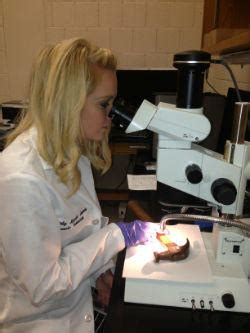 Image result for Trace Evidence Unit