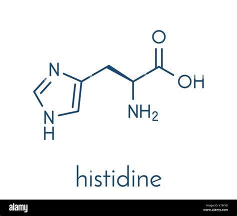 Histidine Amino Acids Structure