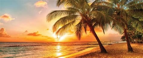 Delta Vacation Packages & Deals | AAA Club Alliance