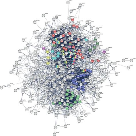 Image result for STRING Protein Interactions