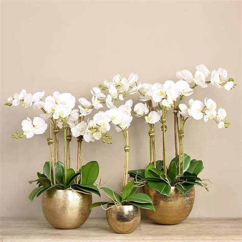 Formidable Fake Orchid Plants Artificial Rhododendron