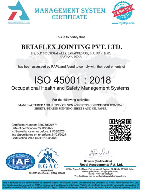BETAFLEX JOINTING OHSMS