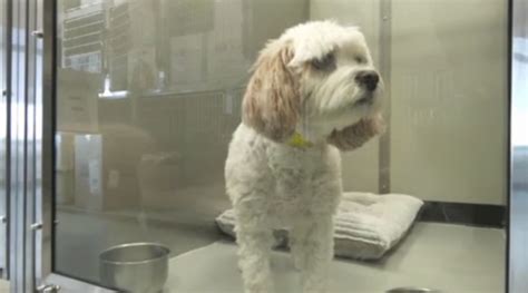 Mugshots Archives - WBBJ TV