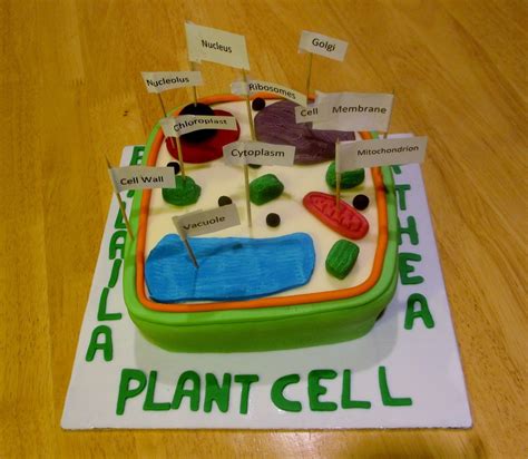 Plant Cells Project Ideas, Plant Cell Project Models, 3d Plant Cell ...
