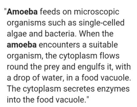 Mode of feeding in amoeba - Brainly.in