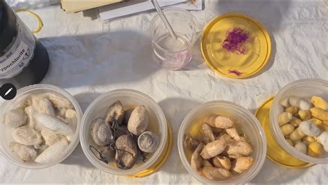 How to Test Pure Silk for Authenticity? – Bharat Silk House