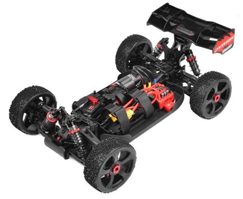 Image result for Corally Python