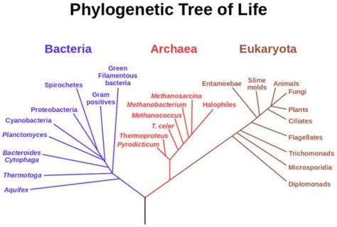 Image result for Life Insurance Exam Study Guide