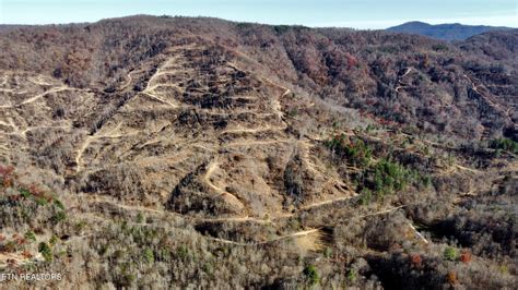 Oneida, Scott County, TN for sale Property ID: 418415616 | LandWatch