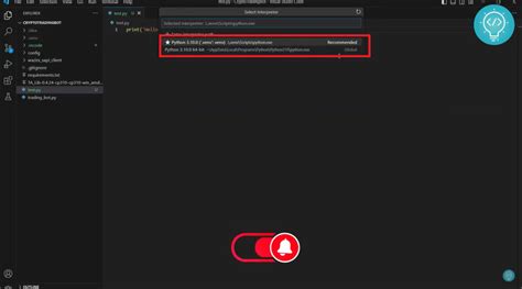 Image result for Python Interpreter vs Code
