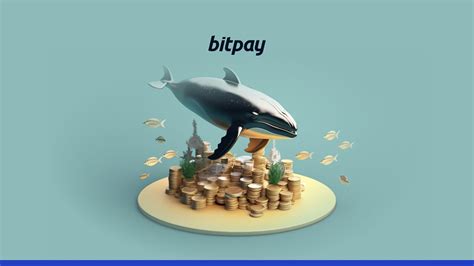BitPay Import From Private Key 的图像结果