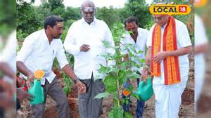 2000 బిల్వమొక్కలతో శ్రీశైలం కొత్త అందం.. భక్తులకు ప్రశాంత వాతావరణం ...