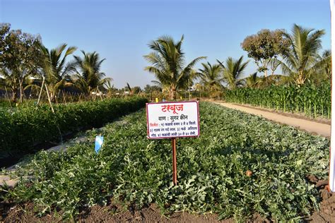 Demonstration – Krishi Vigyan Kendra