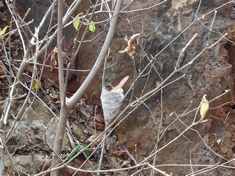 Nord Evasion Madagascar (Antsiranana (Diego Suarez)) - 2022 What to ...