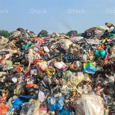 Garbage Trash Piles In Landfill Stock Photo Stock Photo - Download ...