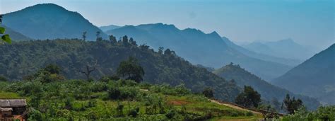 Welcome to Jeypore Municipality