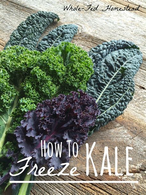 How to Freeze Kale - Whole-Fed Homestead | Freezing kale, Garden ...