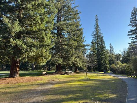 All About the Blackberry Farm in Cupertino - Seb Frey, Silicon Valley ...