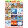 NATURE'S DISASTER (TSUNAMI) CHART SIZE 12X18 (INCHS) 300GSM ARTCARD