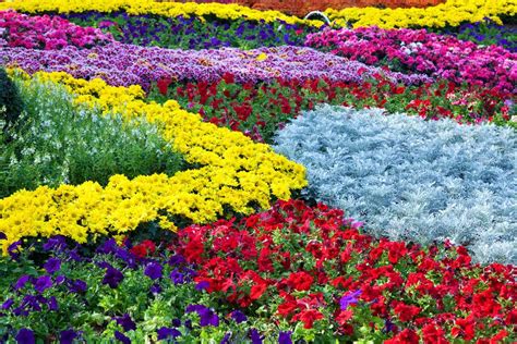 40个色彩缤纷的花园创意，颜色大爆炸，整个花园变得无比漂亮！