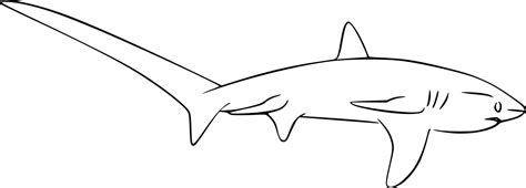 Shark Evolution Script 的图像结果