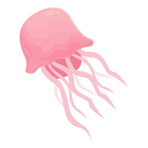 Common jelly fish Vectors - Download Free High-Quality Vectors from ...
