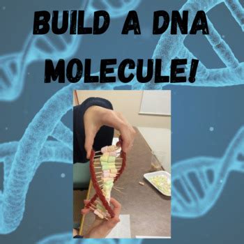 Image result for DNA Build
