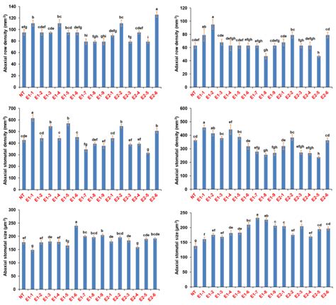 Altering Stomatal Density for Manipulating Transpiration and ...