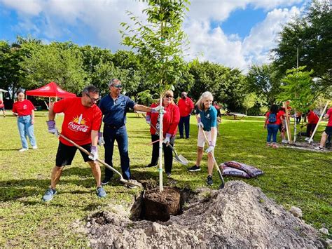 Image result for Miami Heat Tree-Planting Project