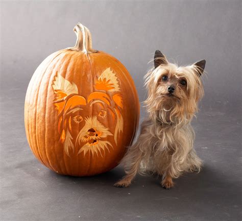 Animal Pumpkin Carving
