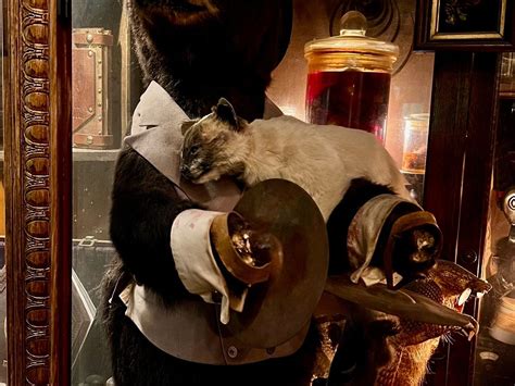 TRUNDLE MANOR (2026) All You Need to Know BEFORE You Go (with Photos ...