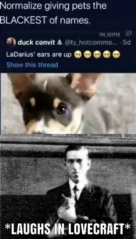 26 H.p Lovecraft Cat Meme