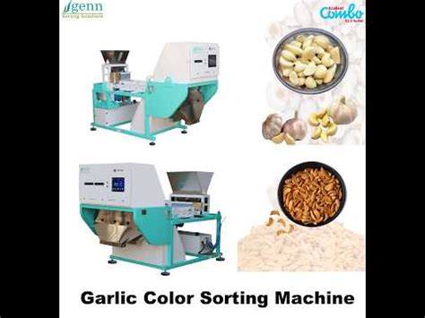 Raw Garlic Color Sorter