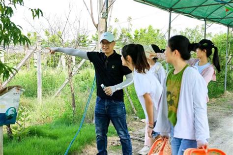 团潮阳区委组织青年大学生“百千万工程”突击队进驻金灶镇 - 潮阳青年 - 潮阳新闻 - 蓝色河畔