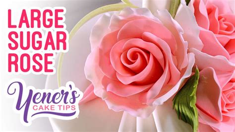 Image result for Sugar Rose Tutorial
