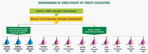 Organisation Chart | Directorate of Forest Education